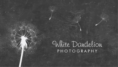 Stylish Chalkboard Dandelion Puff Photography Business Cards