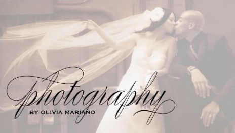 Add Your Own Photo Sheer Overlay Photography Business Cards