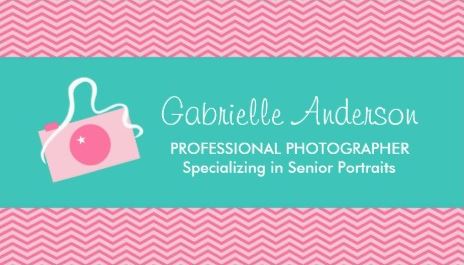 Cute Camera Pink Chevron Professional Photographer Business Cards