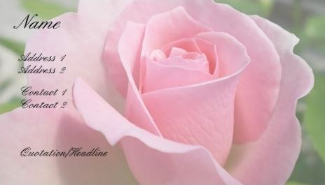 Gorgeous Soft Pink Rose Petals Feminine Floral Business Cards 