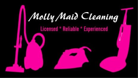 Modern Pink and Black Vacuum Silhouettes Cleaning Services Business Cards
